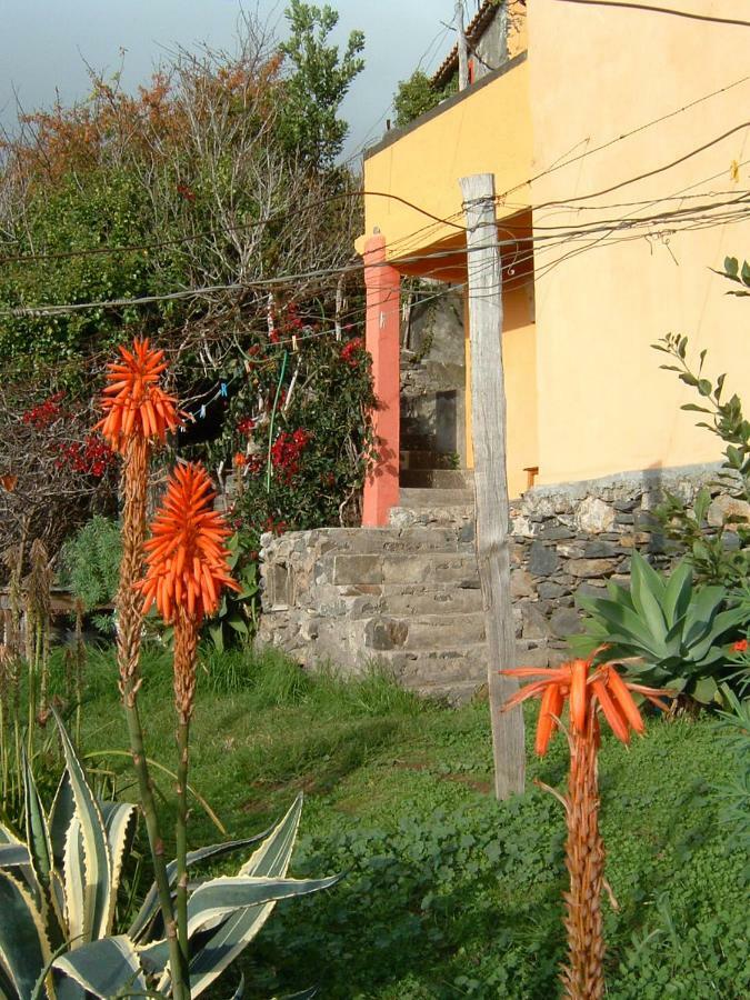 Madeira-Meerblick-Haus Estreito Da Calheta Luaran gambar