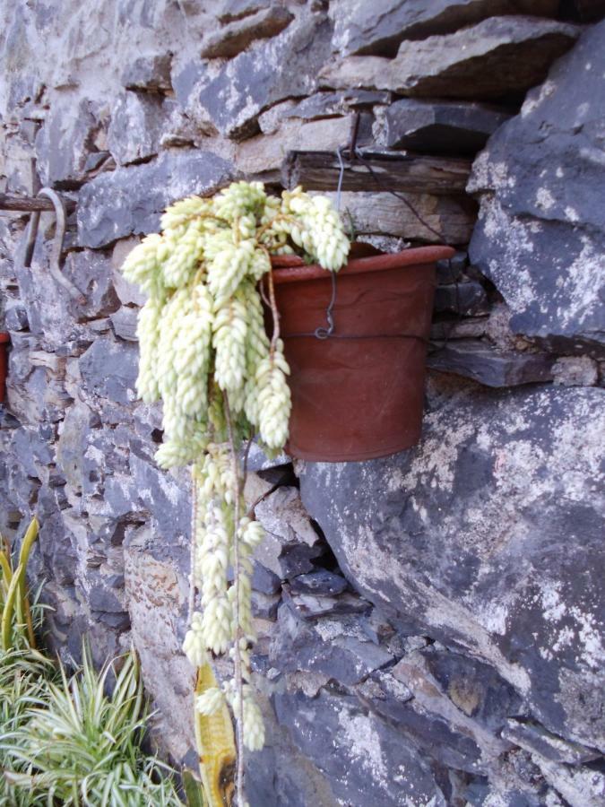 Madeira-Meerblick-Haus Estreito Da Calheta Luaran gambar